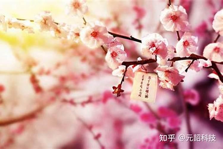 春节的来历,传说,在那一天过,汉族的人是怎么过的