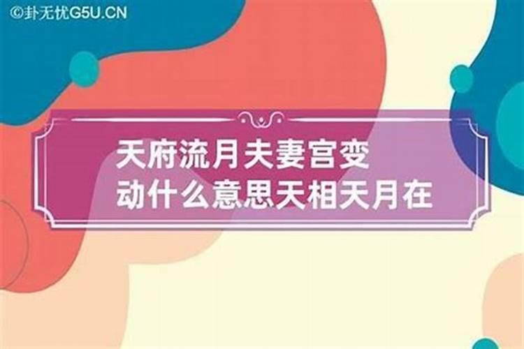 梦见满园的青菜的预兆