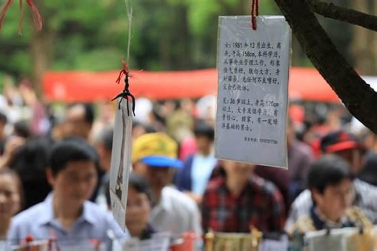 2025年春节自驾最好玩的地方