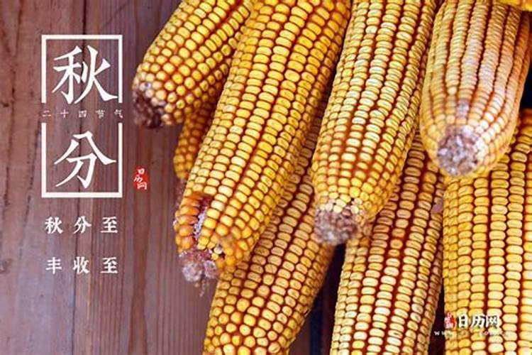 八字算命为什么准依据是什么？