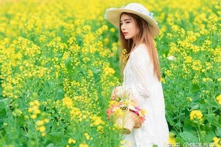 2025年哪些属相犯太岁？应该怎么办？