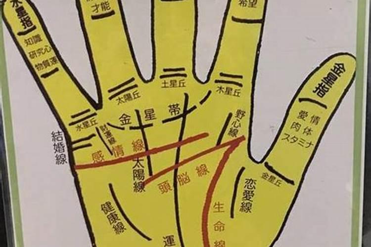 看手相算命准吗
