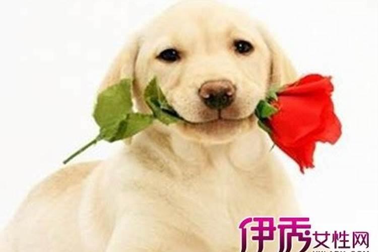 新坟第一年清明节怎么祭拜