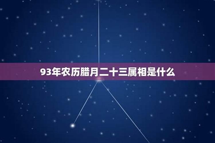 我是农历93年12月28日出生的,算命到底是按生肖鸡算还是生肖狗算啊...