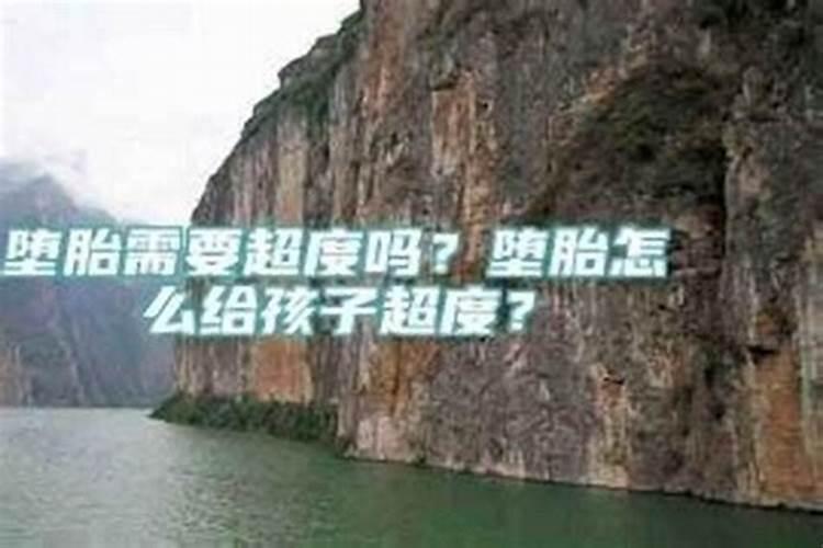 ...公婆坚决不肯要,让我引产,并且说怀下一胎找人做  百度宝宝知道