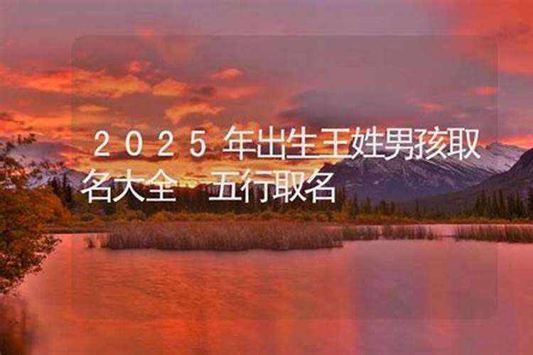 2025年十二生肖每月运势详解
