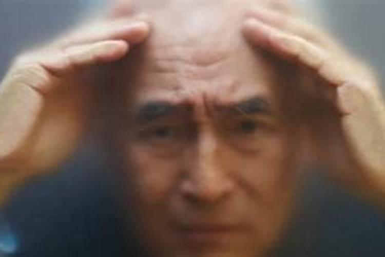 梦见几个老同学到我老家来看我