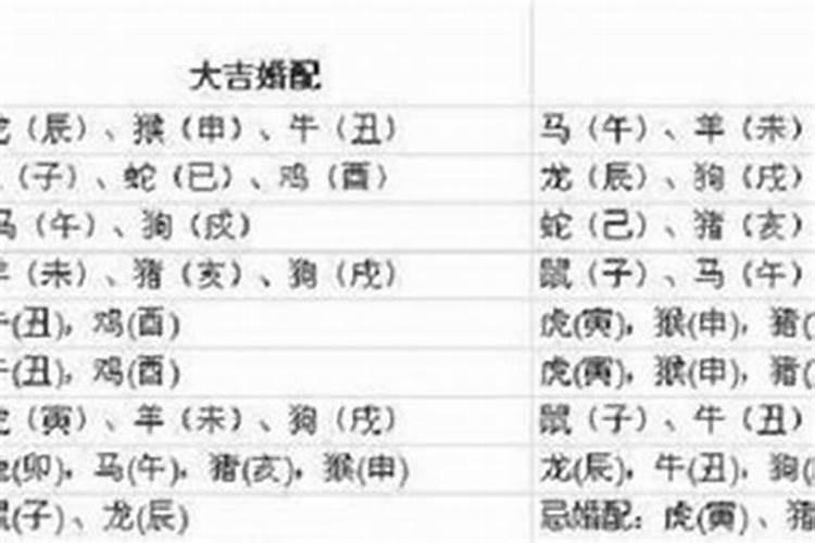 正月初一到初七分别叫啥日