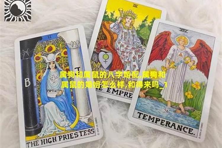 88年2025属龙的运势
