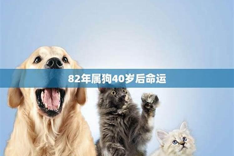 青海8级工伤伤残赔偿标准与计算方法