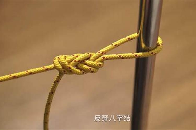 两根线八字结打法
