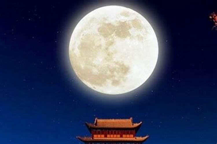 蛇和虎在一起有财运吗