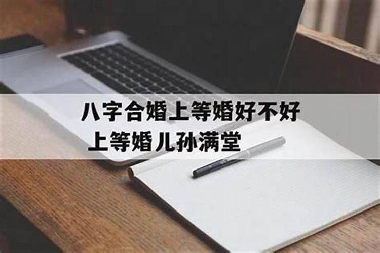 梦见死鱼 梦见死鱼有什么征兆