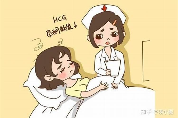 四两八钱男命详细解释
