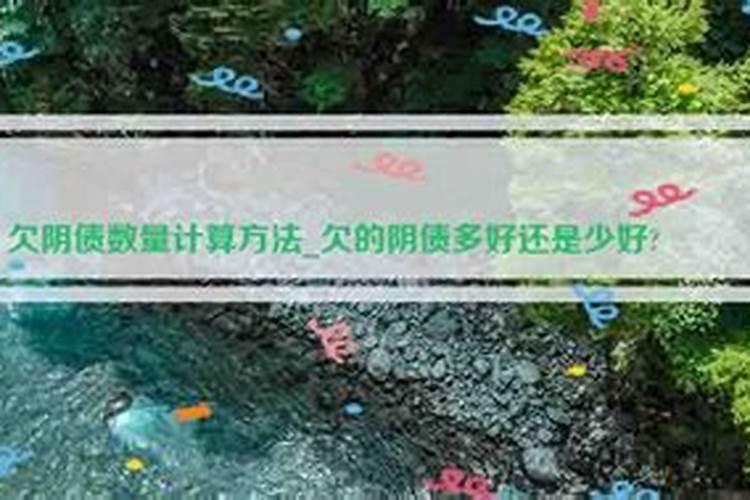 1993年农历1月1的星座