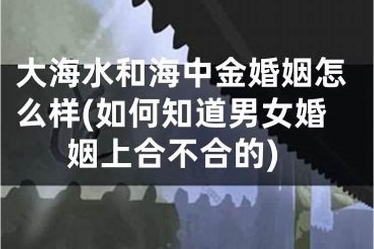 大林木命和大海水命相配吗？