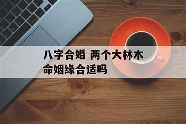 83年9月19大海水命和89年8月初7大林木命结婚如何