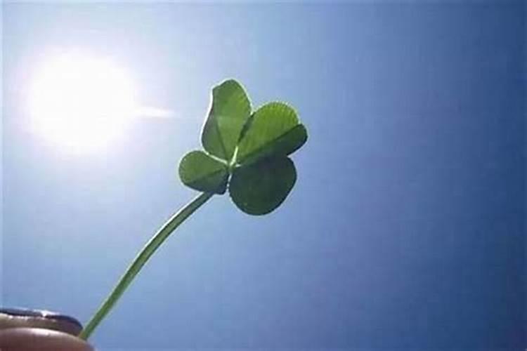 怎样让自己运气财气好起来 提升财运方法