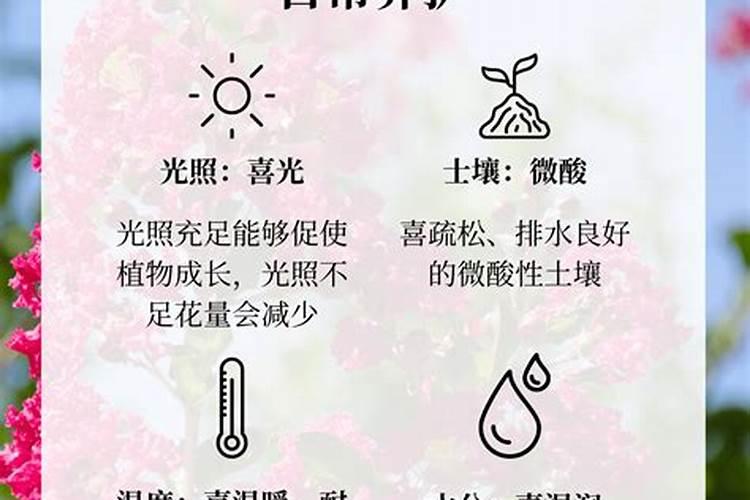 紫微斗数三大最好的命格