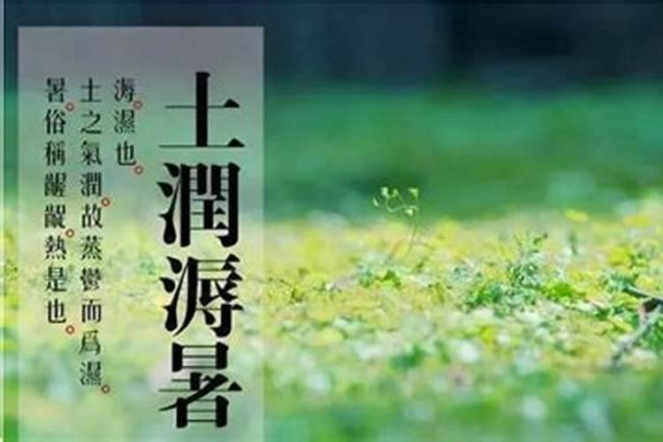 己土生于巳月,调候不能无癸,土润不能无丙 是什么意思？本人生于1982年阴...