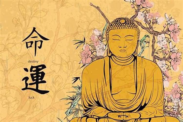 哪个寺庙可以超度堕胎
