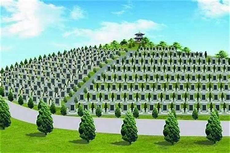 买公墓有什么讲究