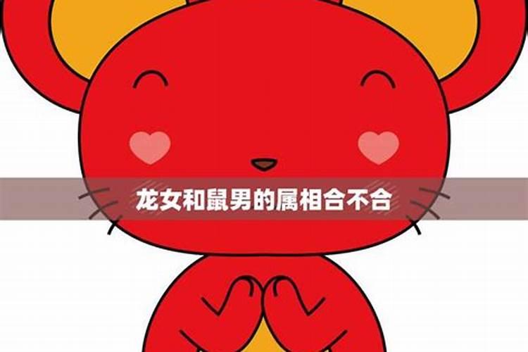 出门看见猫是什么预兆
