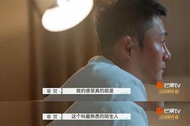 2025年5月22日12生肖运势