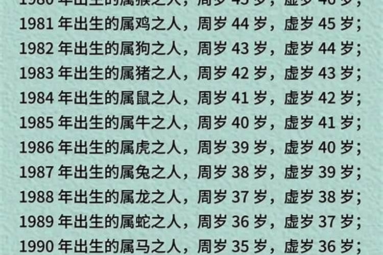 端午节什么动物