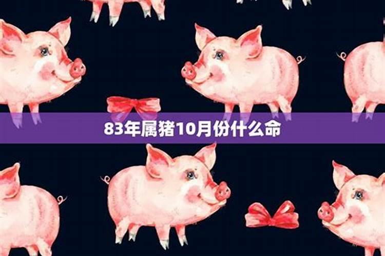 请问用借京东金条的钱还京东金条可以吗？