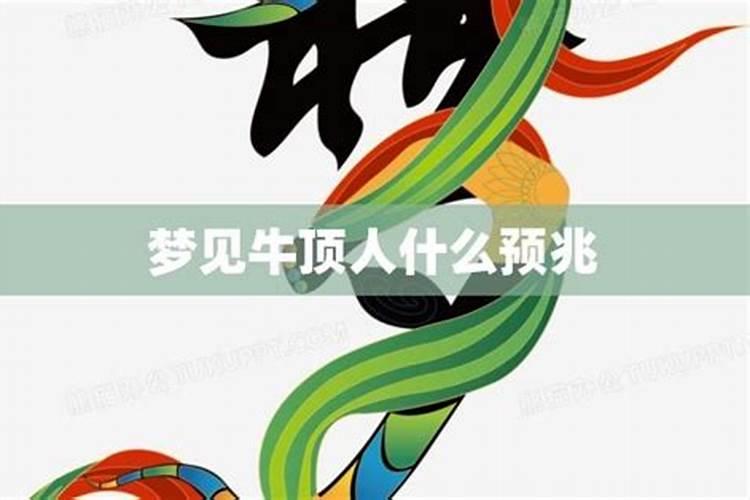 女人梦见牛顶自己是什么意思