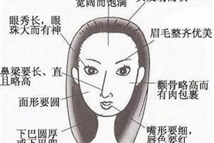 什么样面相的女人有财