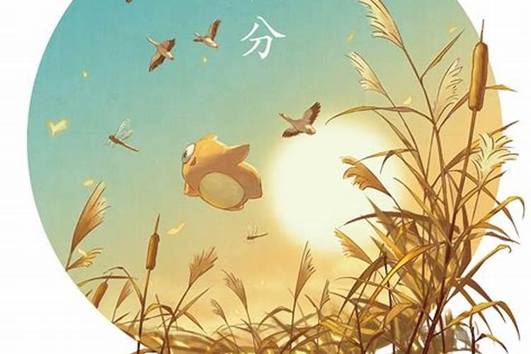 秋分节气的含义 秋分的传统习俗