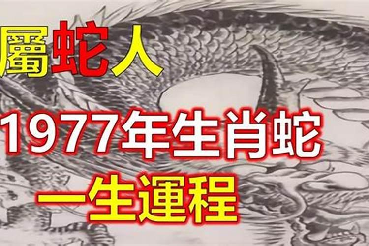 庙祭与上坟的节日 上坟祭祖习俗为何出现