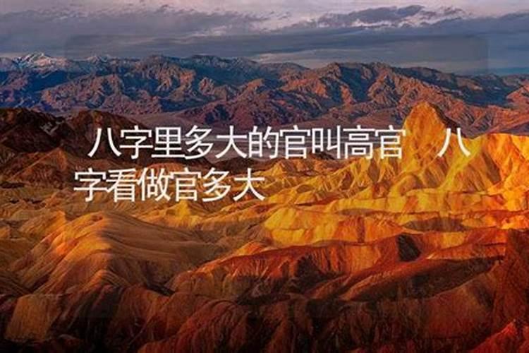 八字有印有财有官能当官吗