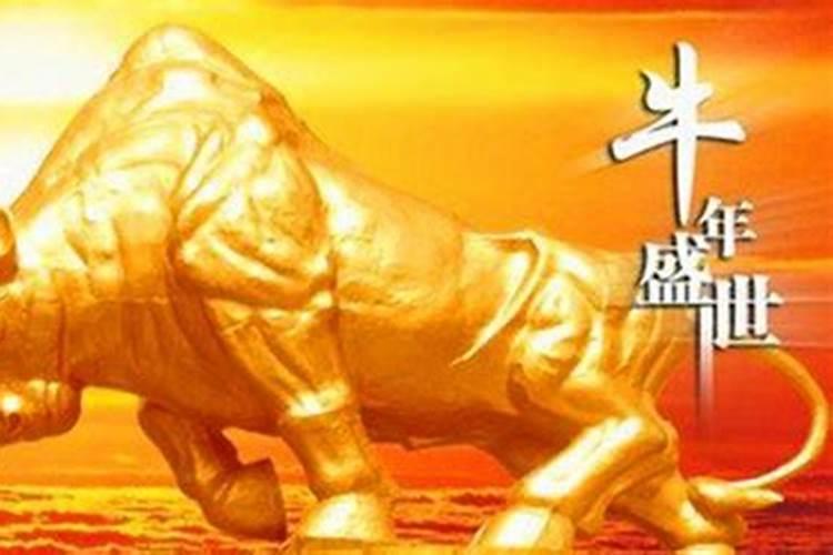 属牛人的婚姻和命运解析