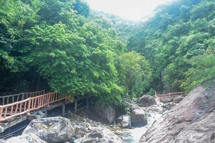 端午想去广州旅游,有什么好的建议与攻略？