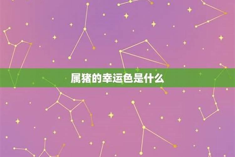 属虎的佩戴什么生肖好 哪种生肖挂件适合属虎佩戴