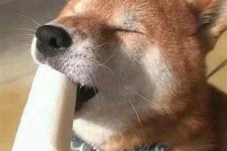 婚姻要不要听算命的,感情运势算命的说得准吗