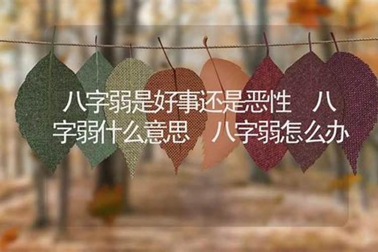 猪猴相害