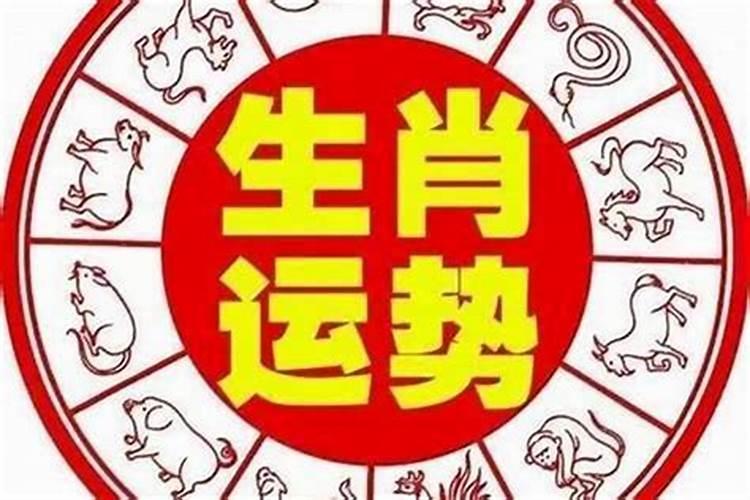 忠肝义胆却小人,肆无忌惮不畏惧!
