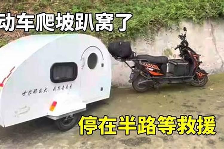属虎的人2025年的运势及运程