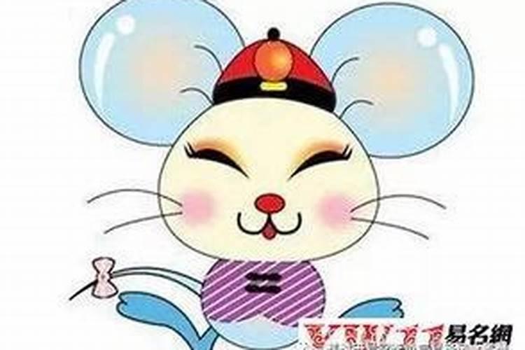 84年的鼠2025年的运势及运程