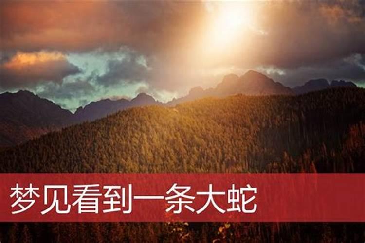 梦见和很久不见的同学们在一起的预兆