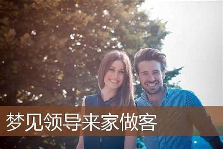 1987年属兔2025年的运势及运程如何
