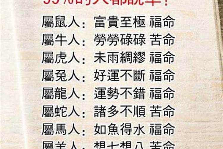 孤独之命是啥意思 孤独之命是什么意思