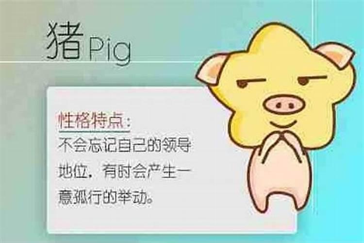 属猪人和什么属相相破