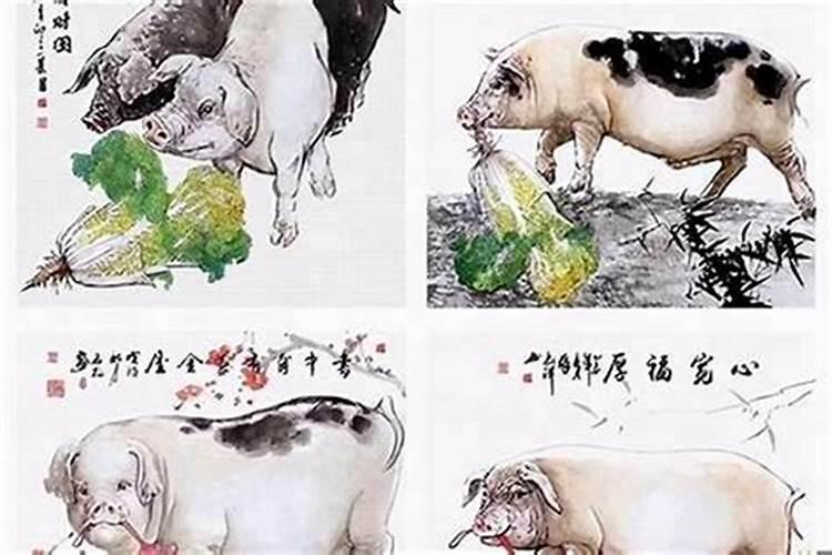 属猪的克星是什么属相不宜婚配,属猪和什么属相相冲