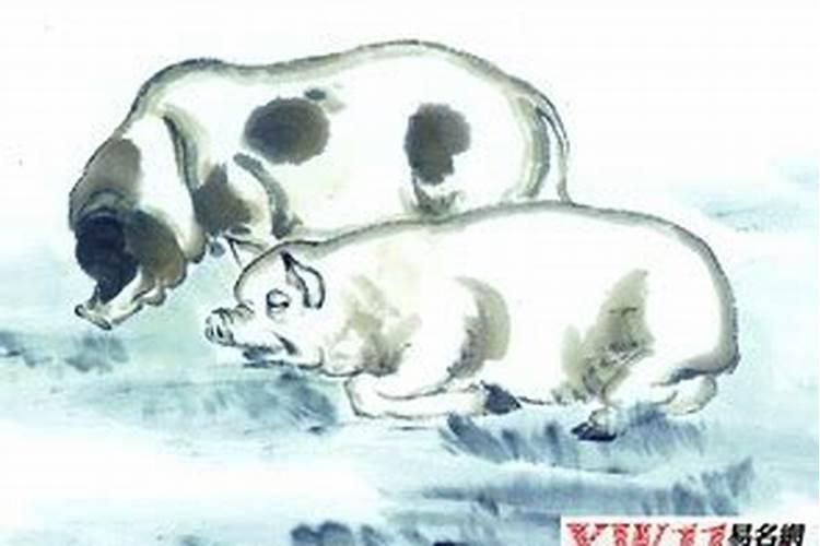 属猪人2024运势及运程完整版 属猪2024年运势及每月运程详解