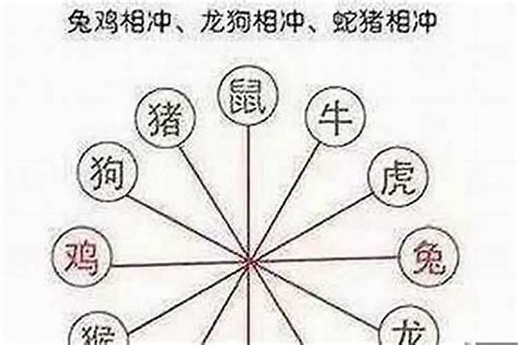 羊和鼠在一起对谁不利,有什么说法？